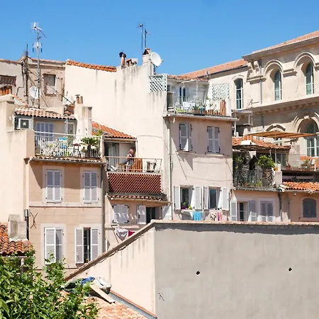 Vieux Port Panier Jardin-3